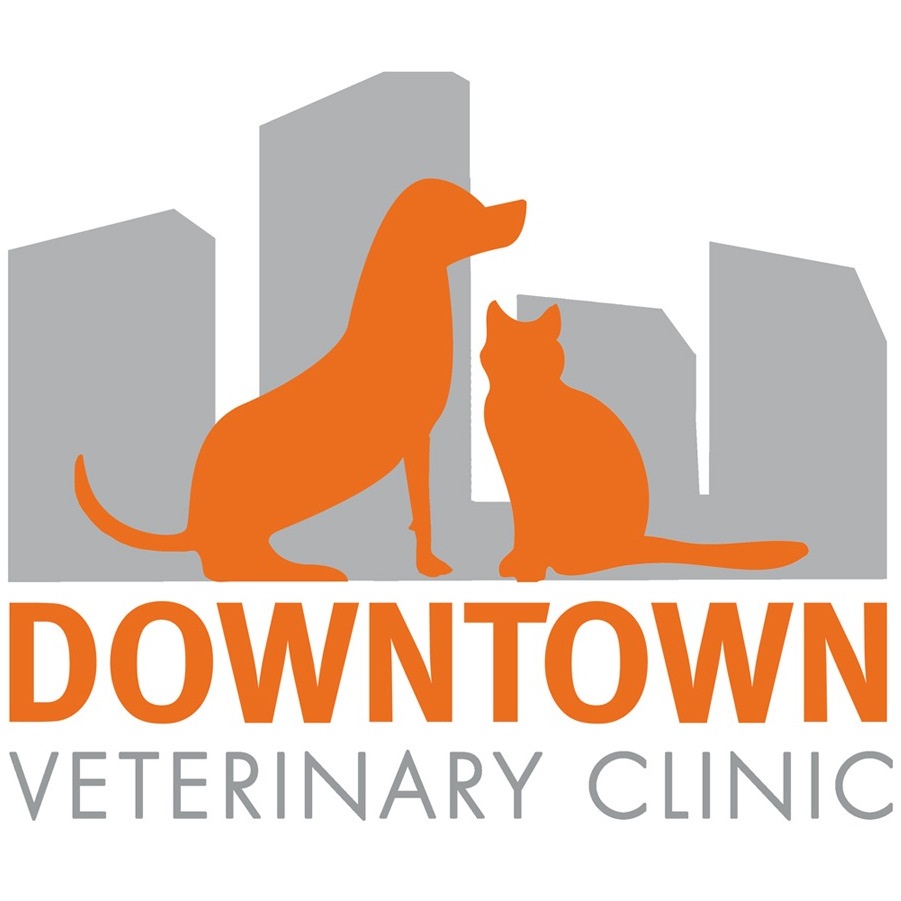 downtown-veterinary-clinic-victoria-bc-logo