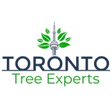 Treeexperts