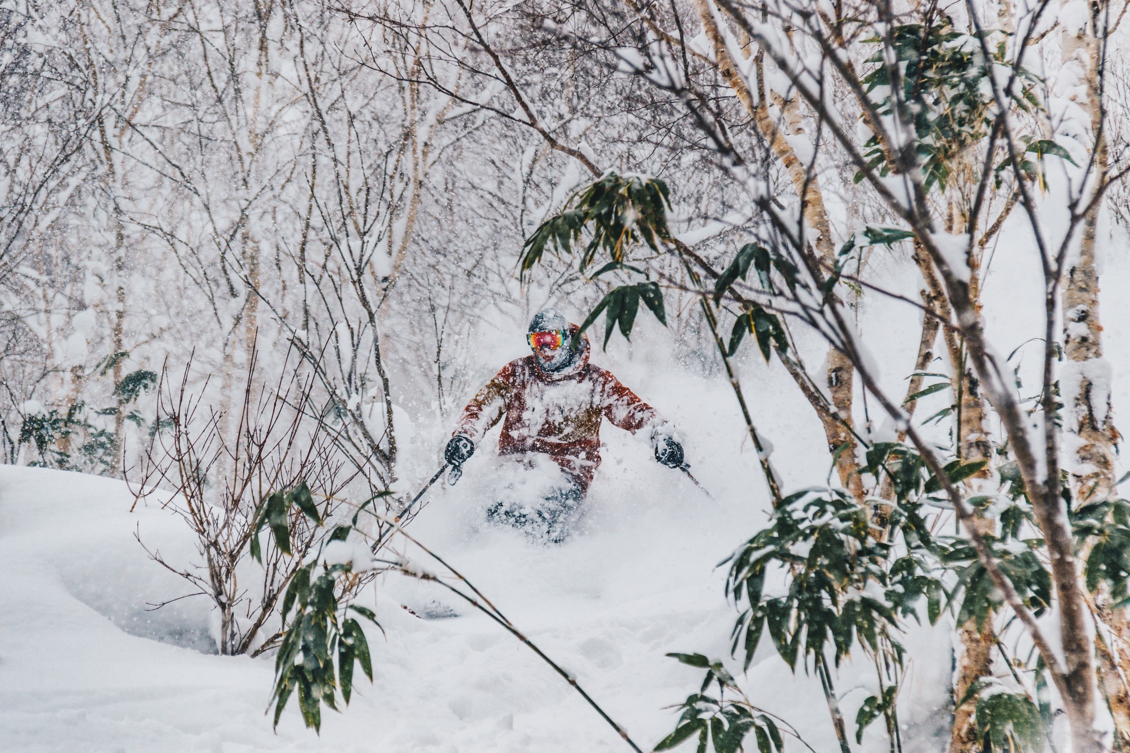 Mabey Ski_Japan_Hokkaido_Backcountry_Powder_Birch Trees_Photographer_Nolan Isozaki_small