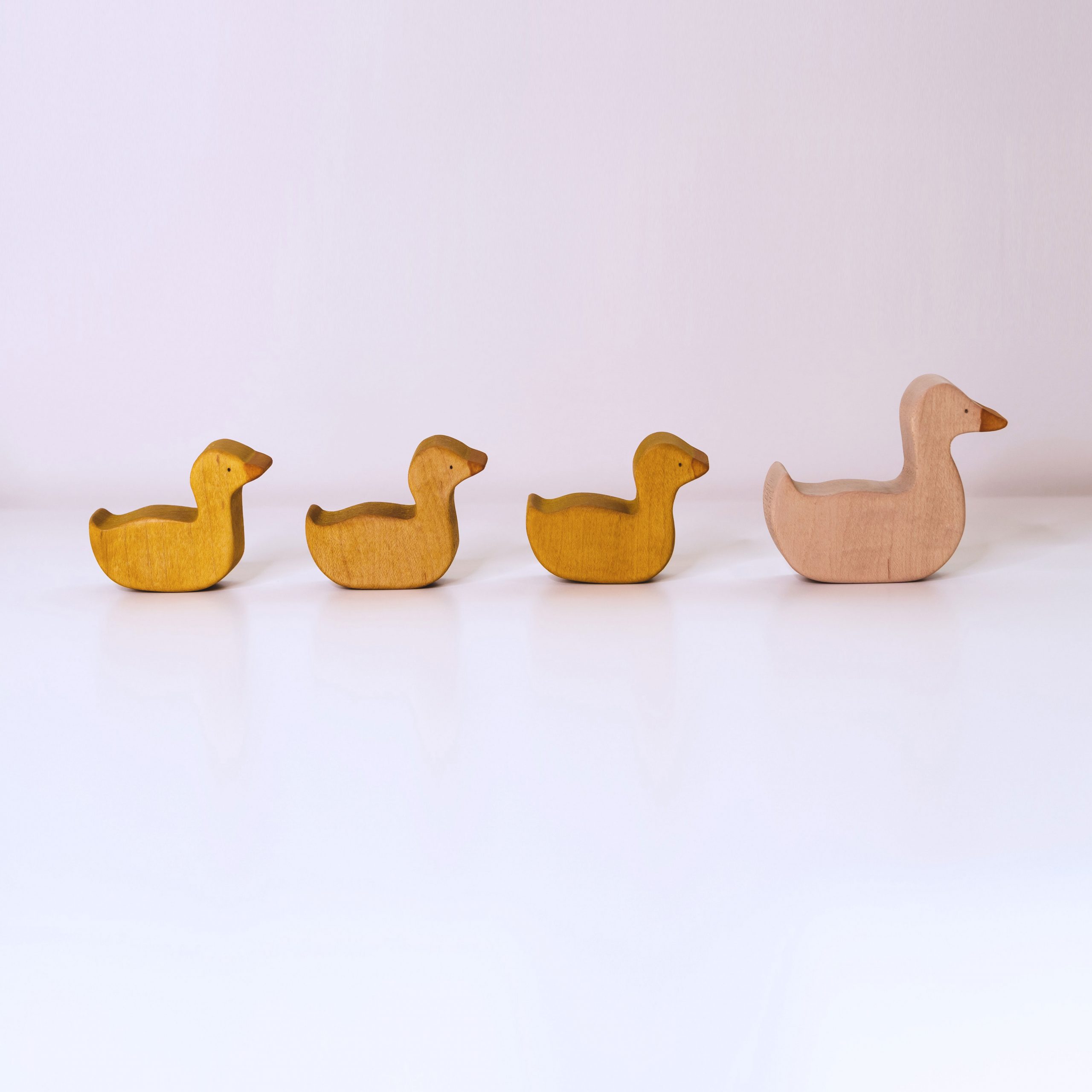 duck family maple_small