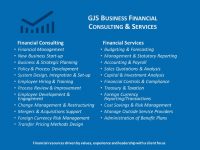 GJS Business Financial Core Competencies